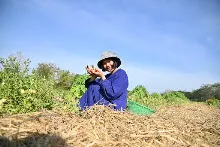 680209-12 นร. Horizon Middle School จาเกาหลี ศึกษาวัฒนธรรมบุญนิยม  บ้านราช 39.jpg