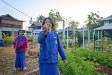 680608 สมุนพระรามเก็บเมล็ดพันธุ์ดอกไม้กินได้ที่สวน ไปขนดินปลูก 19.jpg
