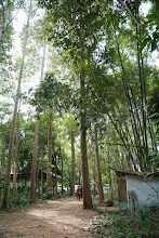 671016 เยี่ยมบ้านชนะชัย ที่บุรีรัมย์ บิณฯเช้า เยือนประสาทหินเขาพนมรุ้ง147.jpg