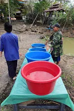 671213 ภาพ การเลี้ยงผำในอ่างพลาสติก ปสช.บิวตี้ บอส 86.jpg