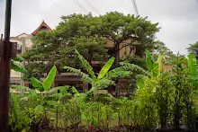 A7C05950.jpg