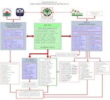 ofnt_org_chart.jpg