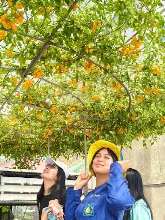 680212 สสธ.ไปทัศนศึกษาที่งานเกษตรอีสานใต้ ม.อุบล 19.jpg