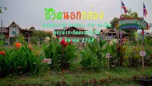 680308 สมุนพระราม ทดสอบ pH ของดินด้วยน้ำสะกัดดอกอัญชัน 1.jpg