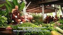 301030 พ้นทุกข์ด้วยผัสสาหาร 1 (ออกจากภพ)-_.mp4