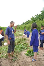 680616 สมุนพระรามไปขุดมันเทศริมมูลและเก็บเมล็ดถั่วลิสงเรี่ยดิน วันบวรกับชาวชุมชนกลุ่มสีส้ม 20.JPG