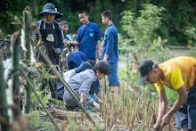 680603 รวมพลังปลูกแฝก และทองหลาง วันเฉลิมพระชนมพรรษา สมเด็จพระนางเจ้าสุทิดา 69.jpeg