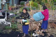 680110 สมุนพระราม ทำ 5 ส ปลูกต้นองุ่น ปรับปรุงแปลงดอกไม้ 4.jpg
