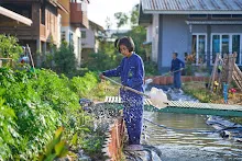 680103 สมุนพระรามดูแลสวนเช้า เย็น เปียหม่องเริ่มทำน้ำตก 75.jpg