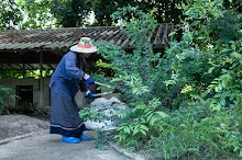 680602 วันบวรบ้านราช 33.jpg