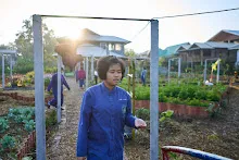 680608 สมุนพระรามเก็บเมล็ดพันธุ์ดอกไม้กินได้ที่สวน ไปขนดินปลูก 53.jpg