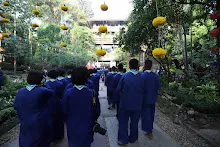 IMG_9943.JPG