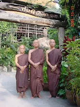 DSC08522.JPG
