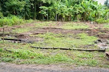 A7C01735.jpg