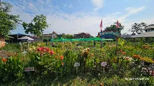 680419 ครูดีไม่มีอบายมุข รุ่น 14 เข้า work shop สวนครอบครัวน่ารัก 28.jpg