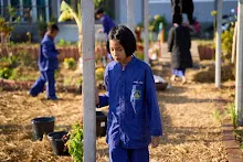 680117 สมุนพระรามปรับปรุงสวน ทาสีเสาป้ายสวนครอบครัวน่ารัก 44.jpg