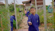 680308 สมุนพระราม ทดสอบ pH ของดินด้วยน้ำสะกัดดอกอัญชัน 8.jpg