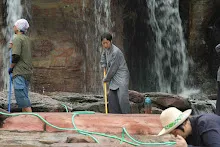 680511 ภาพโฮมแฮงขัดนำตกองค์พระพุทธธาในวันวิสาขฯ 3.jpeg