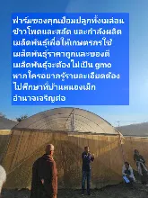 680210 ประชุมการศึกษาบุญนิยม ที่เนินพอกิน งานพุทธา 41.jpeg