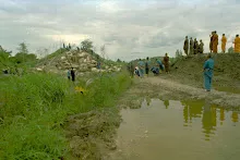 PA29_12.JPG