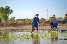 680111 กิจกรรมดำนาวันเด็กแห่งชาติ ของนร.สสธ.และสมุนพระราม 61.jpg