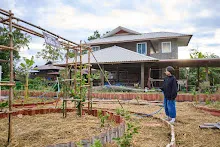 671216 สมุนพระราม ห่มดินสวนน่ารักด้วยฟางข้าว วัดระดับน้ำคลองไส้ไก่ 32.jpg