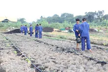 671115 ค่ายเปิดเทอมนักเรียนสัมมาฯ ทำงานเช้าขนของ ลงสวนผัก 12.JPG