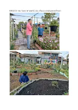 680223 ชม.วิทยาศาสตร์ป.ต้น เรียนวงจรต้นพุทธรักษา