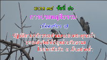 มงคล 38 ข้อที่ 16.png