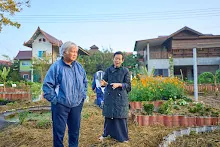 680608 สมุนพระรามเก็บเมล็ดพันธุ์ดอกไม้กินได้ที่สวน ไปขนดินปลูก 28.jpg