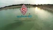 สื่อธรรมะพ่อครู(อัตตา) ตอน ลดอัตตาบวร.mp4