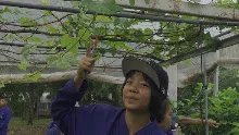 690306 สสธ ม1  ร่วมงานพุทธา ไปเนินพอกิน 12.JPG