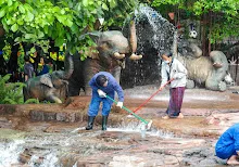 680314 ขัดน้ำตก วันเลี้ยงส่ง ม.3 ม.6 สสธ. 92.jpeg