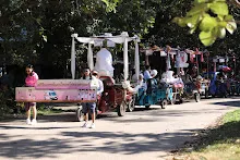 671229 ขบวนแห่พืชพันธุ์ธัญญาหารในงานเพื่อฟ้าดิน 7.JPG
