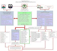 ofnt_org_chart2.jpg