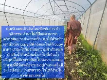 680210 ประชุมการศึกษาบุญนิยม ที่เนินพอกิน งานพุทธา 57.jpeg