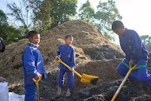 680608 สมุนพระรามเก็บเมล็ดพันธุ์ดอกไม้กินได้ที่สวน ไปขนดินปลูก 116.jpg