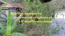 สื่อธรรมะพ่อครู(บวร) ตอน ความสำคัญของ บวร.mp4
