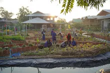 680107 สมุนพระรามดูแลสวนเช้า 2.JPG