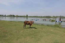 680202 สสธ.ม.3 ฝึกหัดเพาะชำต้นไม้แบบควบแน่น ไปสวนไวพลัง 339.JPG