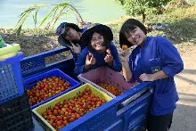 680209-12 นร. Horizon Middle School จาเกาหลี ศึกษาวัฒนธรรมบุญนิยม  บ้านราช 29.jpg