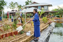 671214 สมุนพระรามทำสวนเช้า พบคณะสมณะเพาะพุทธมาเยี่ยมสวน 75.jpeg