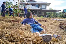 671216 สมุนพระราม ห่มดินสวนน่ารักด้วยฟางข้าว วัดระดับน้ำคลองไส้ไก่ 63.jpg
