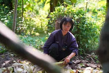 A7C01110.jpg