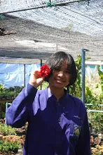 680202 สสธ.ม.3 ฝึกหัดเพาะชำต้นไม้แบบควบแน่น ไปสวนไวพลัง 250.JPG