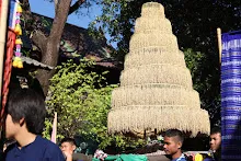 671229 ขบวนแห่พืชพันธุ์ธัญญาหารในงานเพื่อฟ้าดิน 40.JPG