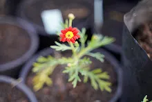 680201 สมุนพระรามปรับปรุงสวนครอบครัวน่ารักเช้า 19.jpg