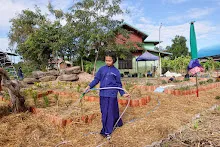 671216 สมุนพระราม ห่มดินสวนน่ารักด้วยฟางข้าว วัดระดับน้ำคลองไส้ไก่ 88.jpg