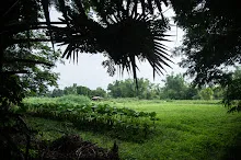 680606 อโศกรำลึก ครั้งที่44 เดินตามรอยโพธิสัตว์ 23.jpg