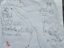 680221 สมุนพระรามหัดสังเกต 9 อาการผิดปกติของพืช 32.jpg